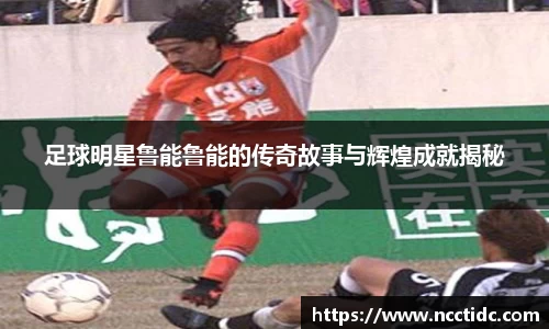 足球明星鲁能鲁能的传奇故事与辉煌成就揭秘